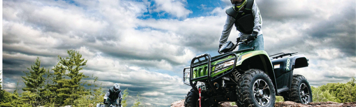 2019 Arctic Cat® Action for sale in The Off-Road Co. (DBA The Offroad Company), Columbus, Nebraska